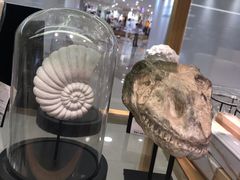 -ZARA HOME(蓝色港湾店)