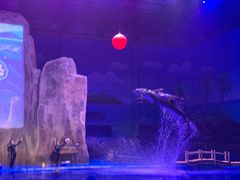 -华夏文旅海洋公园