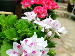 -孟屯河谷景区