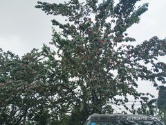 -樱桃山旅游景区