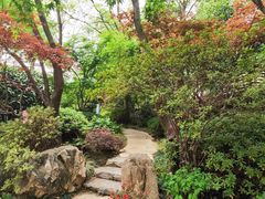 -徐家汇源景区-衡山公园