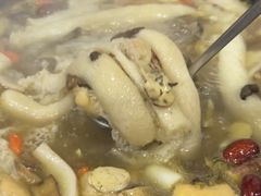 -江川野生菌火锅铜锅鱼(贵清火锅店)
