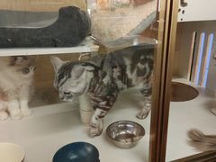 -老炮儿轰趴团建KTV桌游棋牌主题馆(五道口店（底商店))