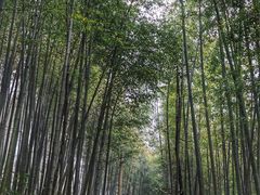 -径山寺