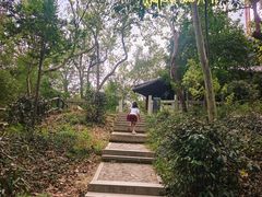 -上海佘山国家森林公园天马山园