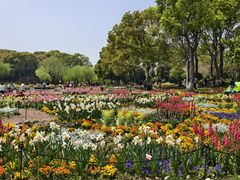 -上海鲜花港