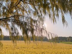 -嘉北郊野公园