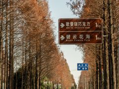 -歌斐颂巧克力小镇