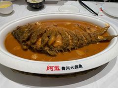 -阿五黄河大鲤鱼(海尚店)