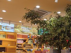 -金顺昌桂林桂花伴手礼(正阳一店)