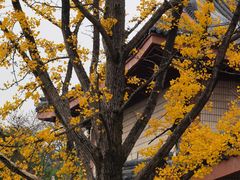 -浙江省博物馆(孤山馆区)