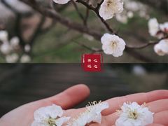 -原乡小镇度假乐园