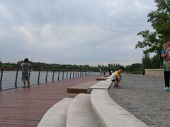 -东郊湿地公园