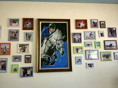 -月河湾马术俱乐部(朝阳店)