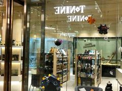 -momokira米努特·德文卷毛猫·棉花面纱犬