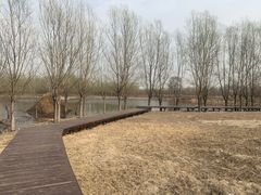 -东郊湿地公园