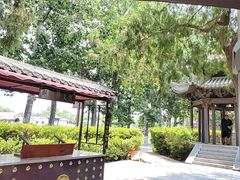-赵州桥景区