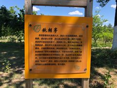 -御林古桑园