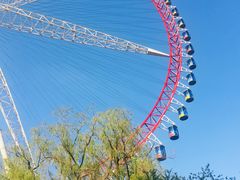 -哈尔滨文化公园