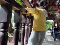 -华雅花园大酒店