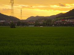 -李东农庄(中南百草园地标店)