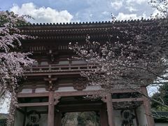 -醍醐寺