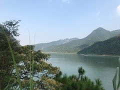 -羚羊峡古栈道森林公园