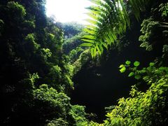 -龙水峡地缝景区