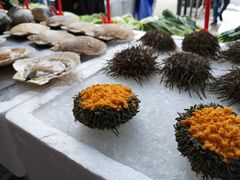 -蚝专家(北滘店)