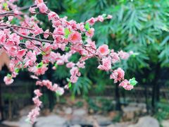 -世外桃源农庄·德清土菜(兴康南路店)