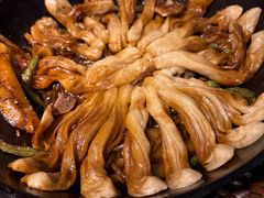 -华盛园卷子王农家菜水库鱼