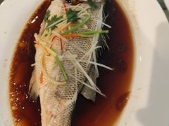 -依兰国际酒店-颐和轩中餐厅