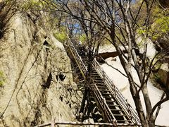 -北京凤凰岭