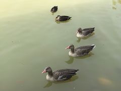 -泰安地下龙宫景区