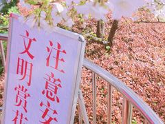 -南浦大桥长途旅游客运站