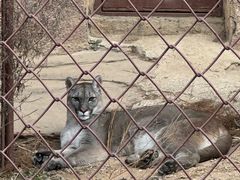 -大连森林动物园