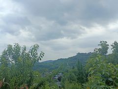 -桃源山庄·水蜜桃采摘·柴火鸡·烧烤团建(龙泉山店)