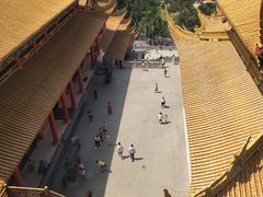 -东莞市大岭山森林公园
