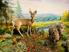 -陕西自然博物馆