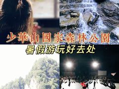 -少华山国家森林公园