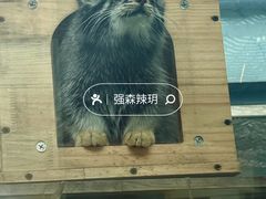 -青藏高原野生动物园