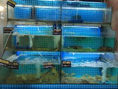 -老东镇啤酒屋海鲜加工·蒸汽海鲜·海鲜烧烤(台东店)