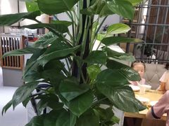 -荷花亭·湖北融合菜(十堰武商MALL店)