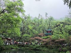 -岳麓山风景名胜区