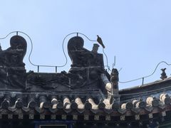 -洛阳白马寺
