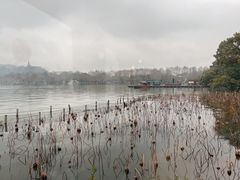 -湖畔居茶楼(湖滨店)