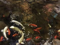 -山有花啡餐厅(常营总店)