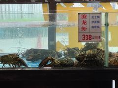 -广东道至正餐厅(区庄店)