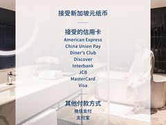 -新加坡乌节希尔顿酒店 (SG Clean)