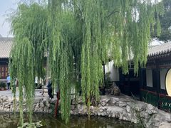 -琴岛顺天馄饨(营口路市场店)